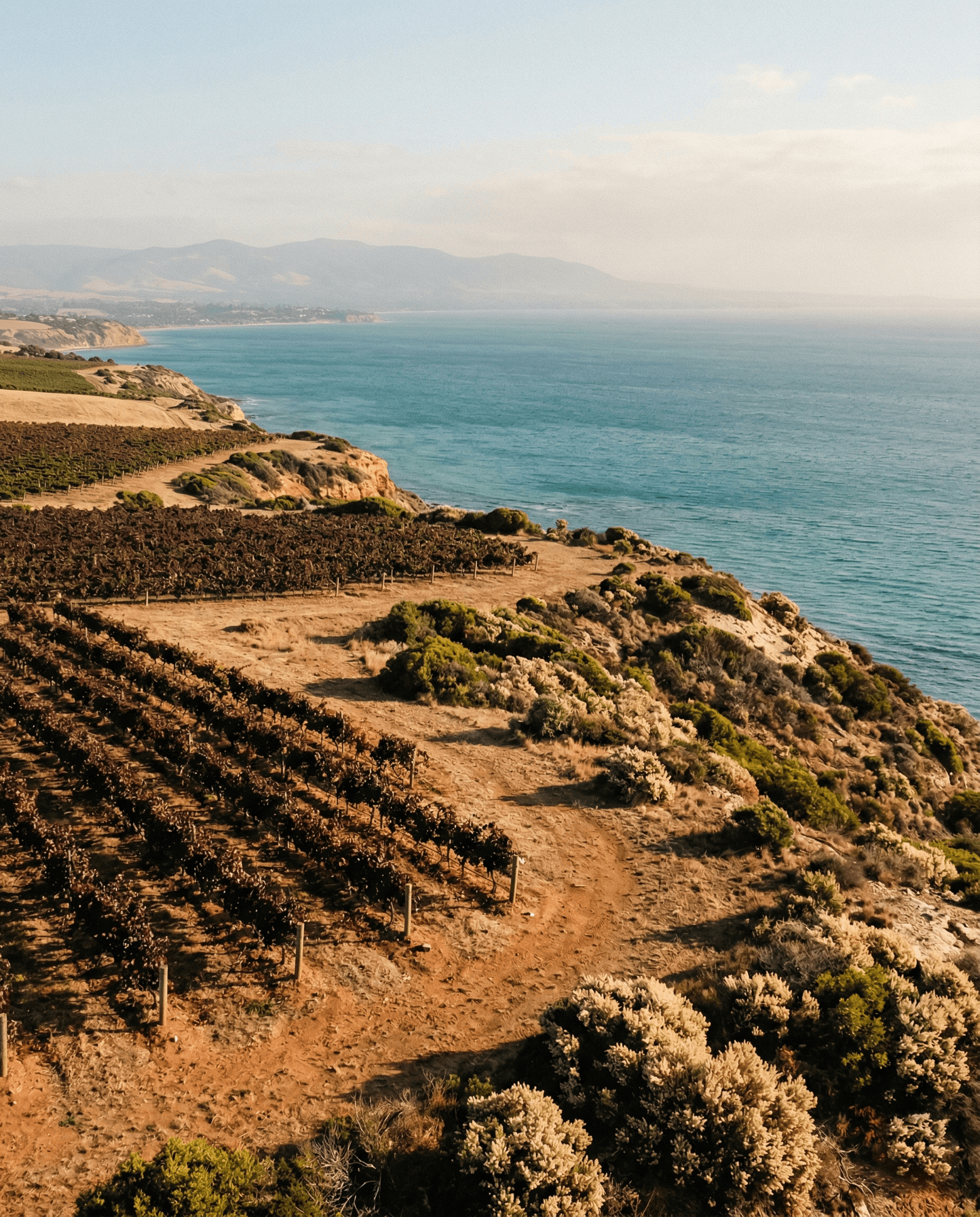 Coastal Character: McLaren Vale